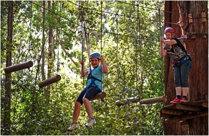 treetop adventure park