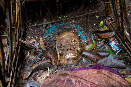 human_skull_trunyan_bali