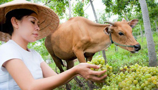 9 hidden farms in Bali you and your kids will love to explore