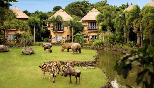 Bali Safari & Marine Park review – 13 fun things to do your kids will love