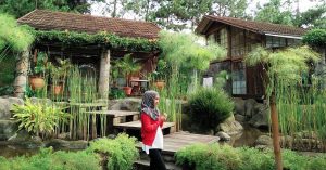 14 rainforest hotels in Bandung to escape from the city