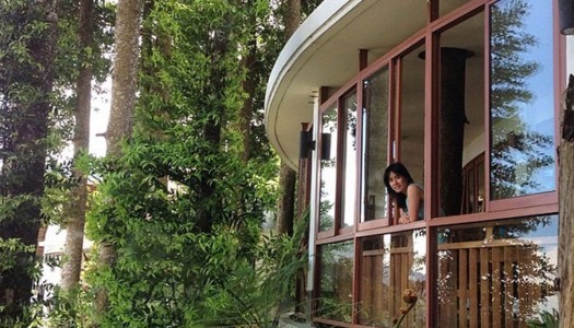 19 beautiful rainforest hotels in Bogor Puncak, Indonesia for a family getaway