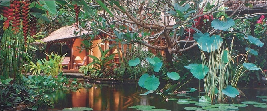water garden