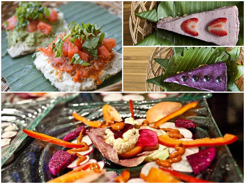 veg livingfoodlab collage