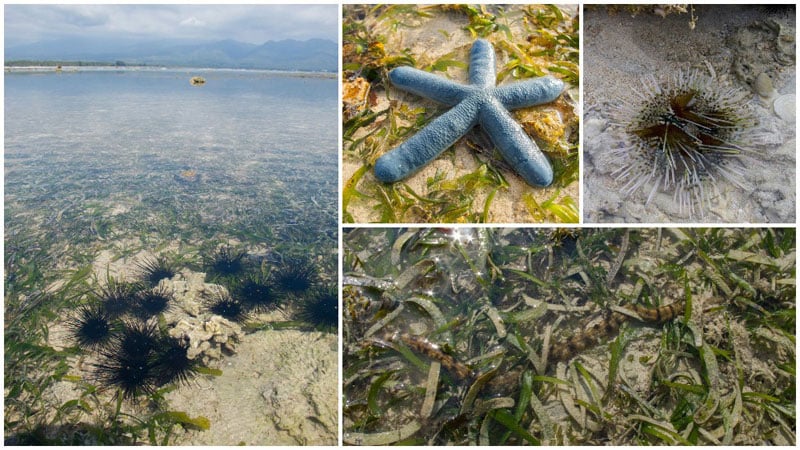 3-seabed-by-TripCanvas