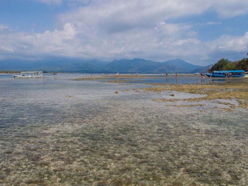 3.-Sea-Bed2-by-TripCanvas