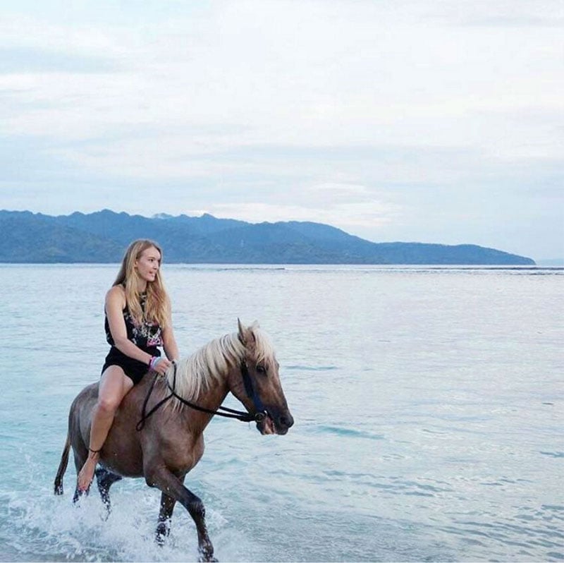 4-horse-via-potraitragil