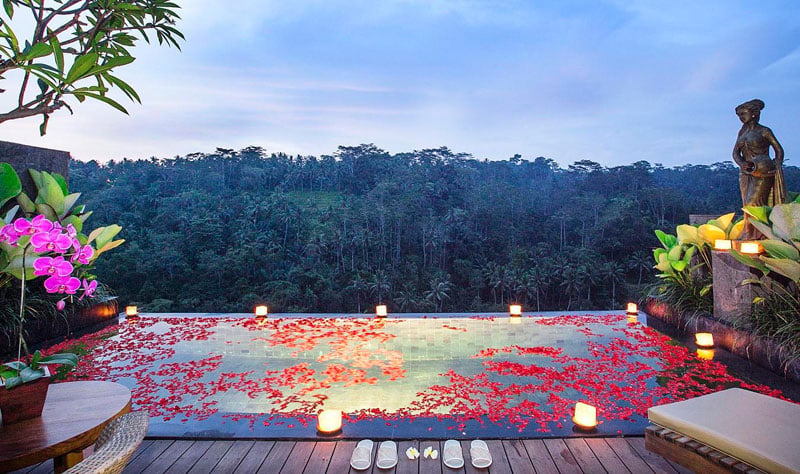 5-flowers-in-private-pool