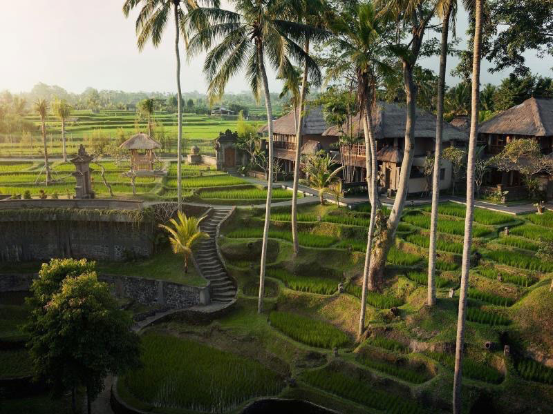 8-1-paddy-fields