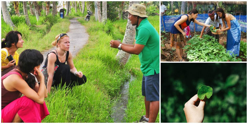 10-herbwalk-via-fabulousubud,-fransisca-angela