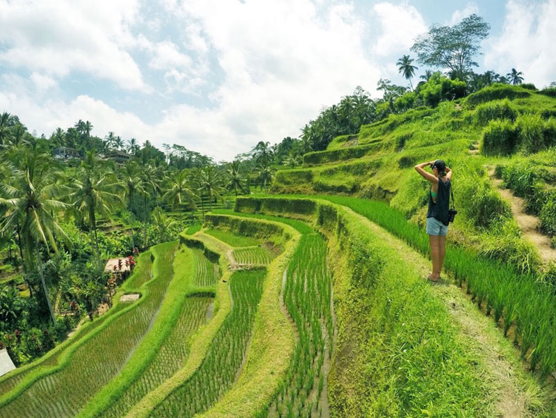 3-campuhan-via-thedreamerlab.com