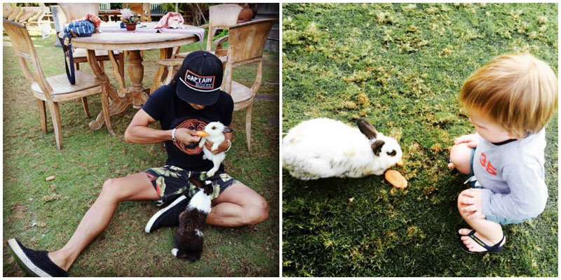 3-h-rabbits-via-emilenerose,-bonstyle