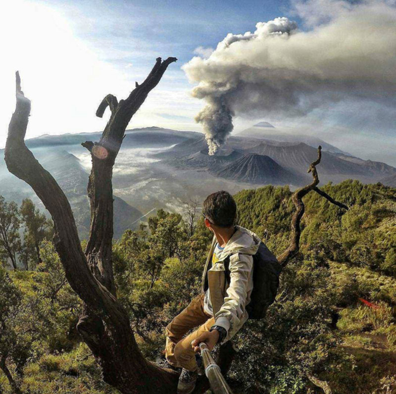 9-3-Bromo-treetop-pati_update.jpg