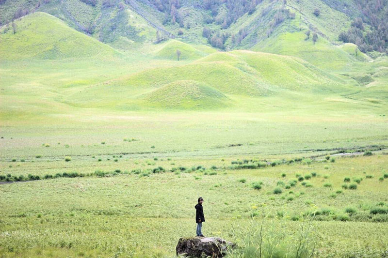 9-4-bromo-savannah-via-mafambayu