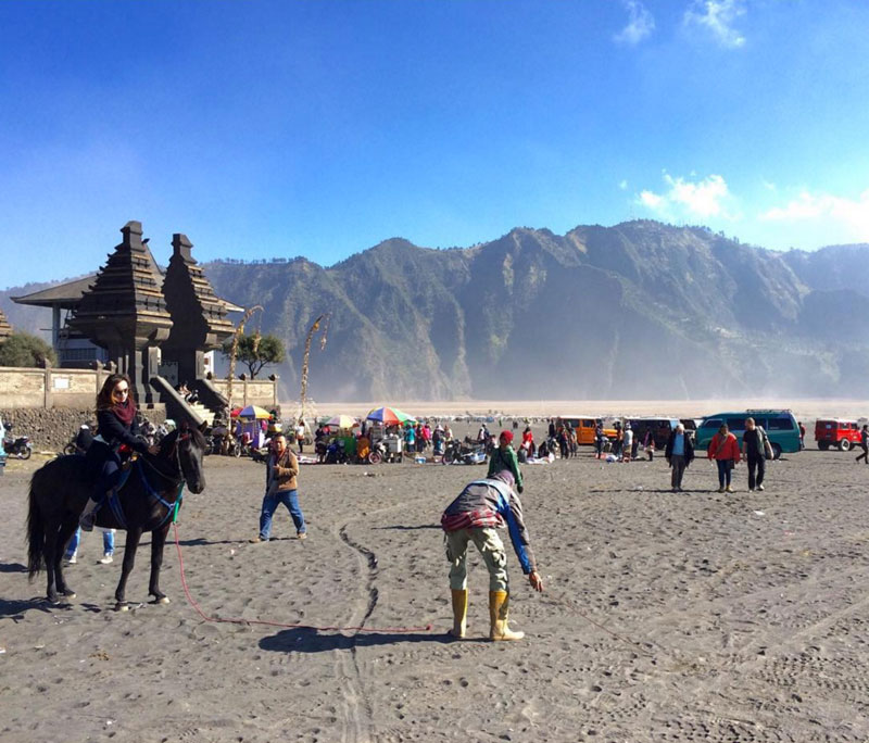 9-5-bromo-pura-via-dwumr