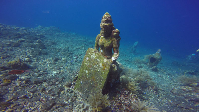 1-b-Tulamben-Coral-Garden-by-Sue-Hen