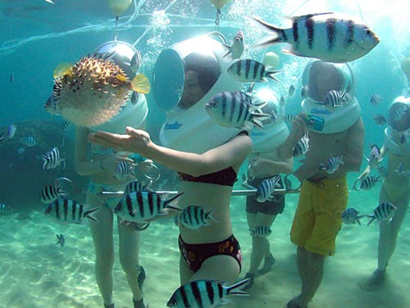 1-m-seawalker