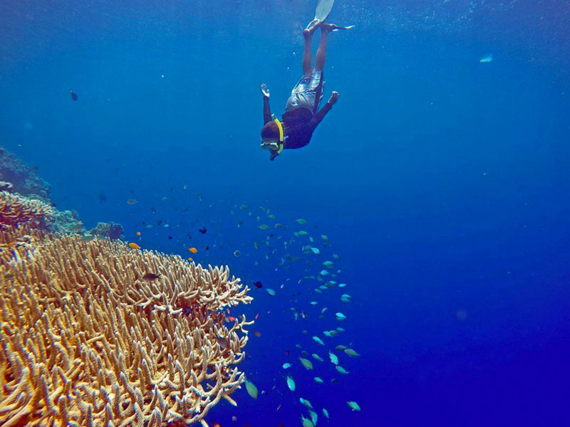 2-a-via-menjangan_paradise