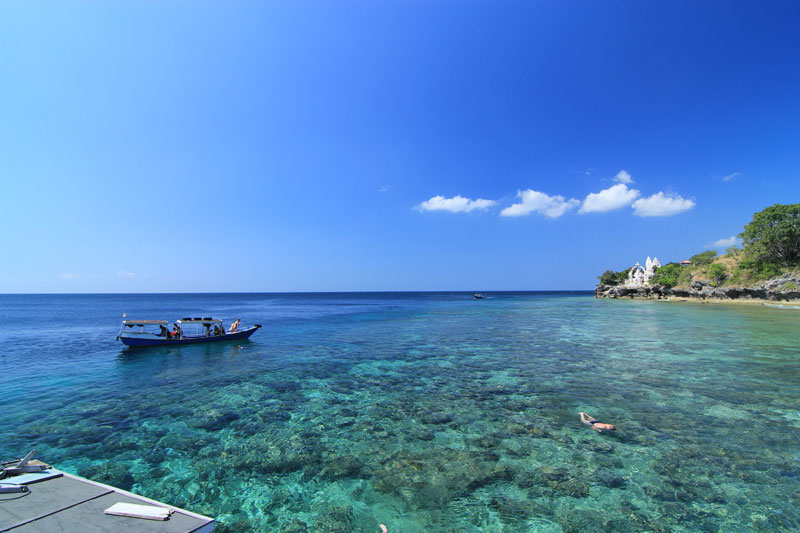 2-b-Menjangan-Coral-Garden-by-Daley
