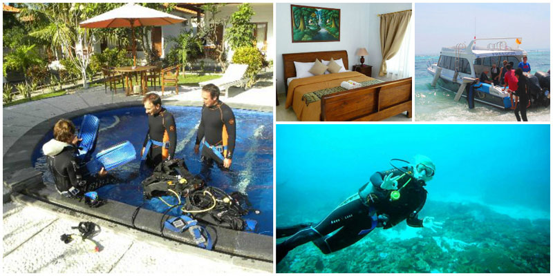 2-g-collage-via-Guillermo,-emelie_hedlund