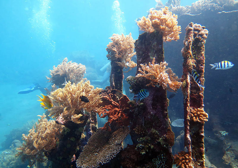 3-a-Lipah-Bay-by-diveplanit.com