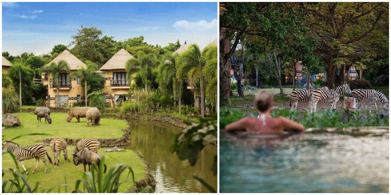 3-c-mara-safari-lodge-via-lisacowcher