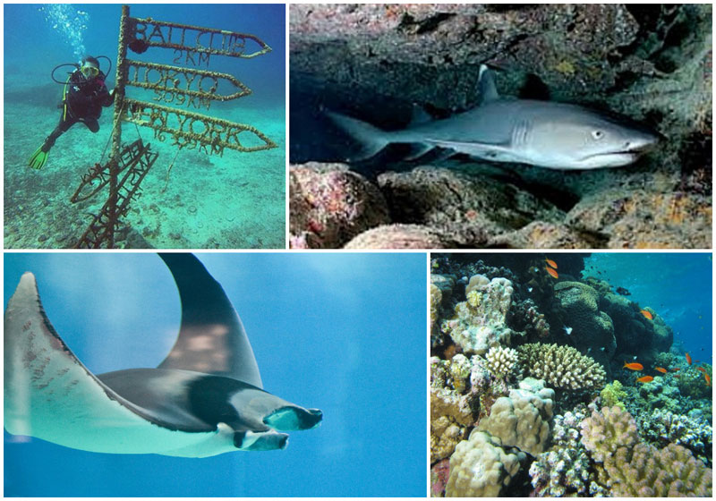 5-b-i-gili-mampang-via-pipitdjatma,-2repdiversbali,-Derek-Keats,-Patrik-Neckman