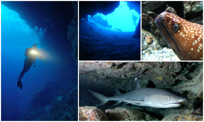 5-b-iii.-Gili-Biaha-by-Peter-Harrison,-Daniel-Sprenger,-Aquaimages