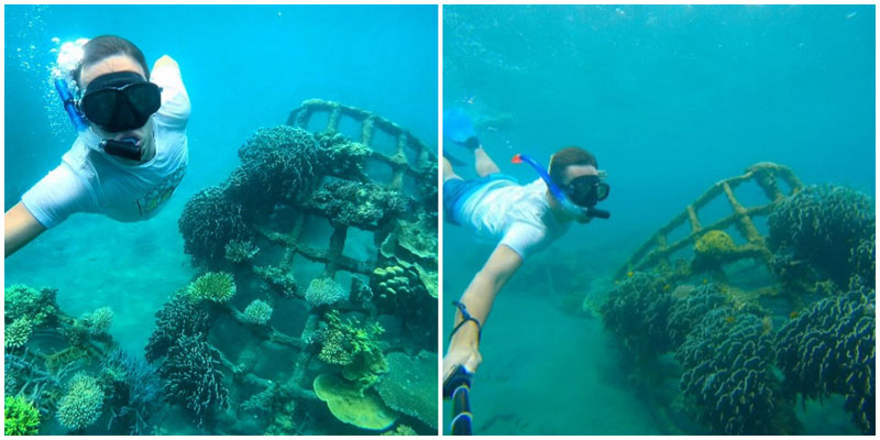 5-coral-collage-via-mikeportnoy6