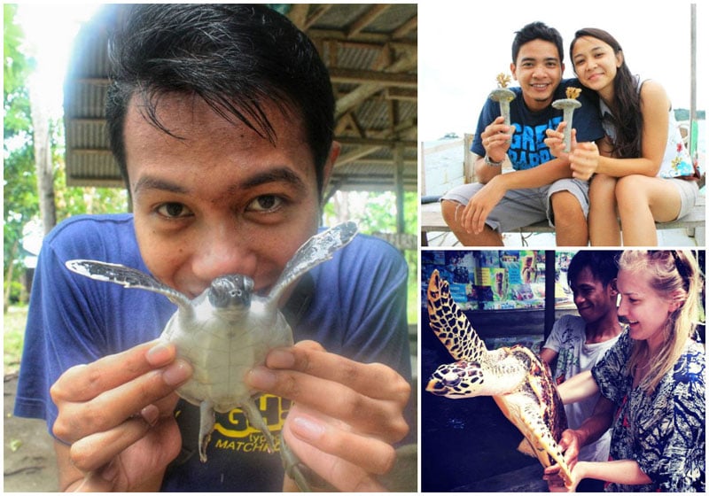 3-6-1-pulaukepayang5-by-gayuhcandra,-pellenordenfalk