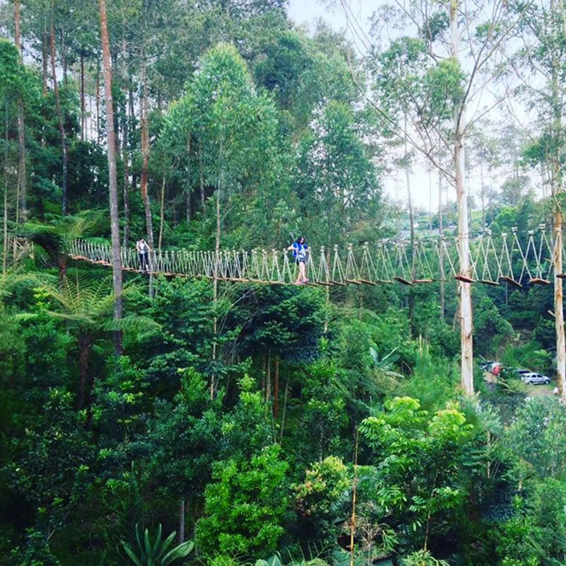 6-3-bridge-via-arethabudiastuti