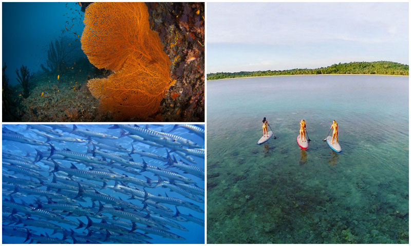 6-4-SUP,-snorkel-via-jannihonscheid