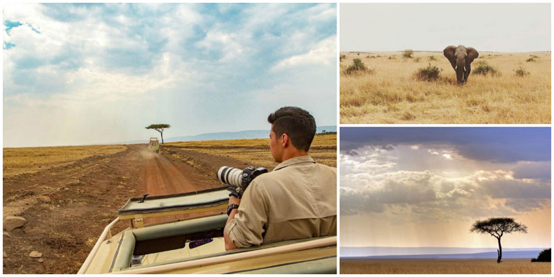 19-1-masaimara5-by-henry_lin_jingang,-stephiromay,-Laura-Bertola