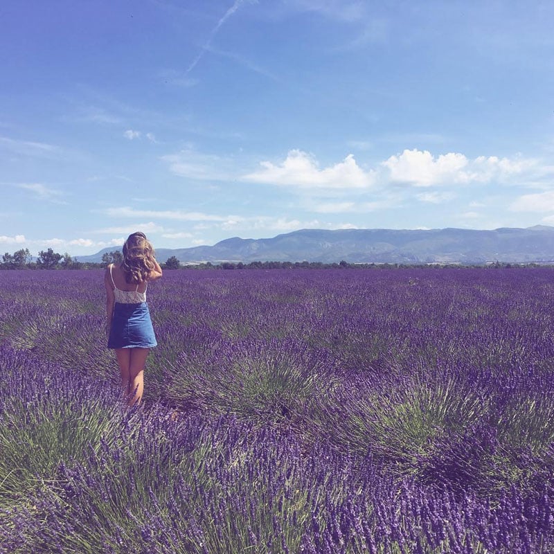 9-1-mountventoux4-by-dianasuu