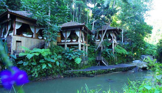25 Rainforest hotels in Bali where you can bask in lush views and stay among nature
