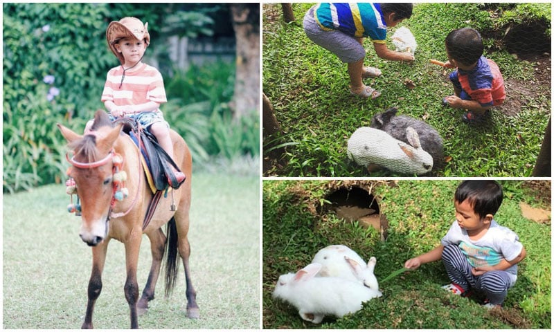 1-5-horse-riding-via-olanatics,-robertofranc,-tsumartana