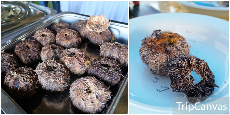 4-2-Food---sea-urchin-collage