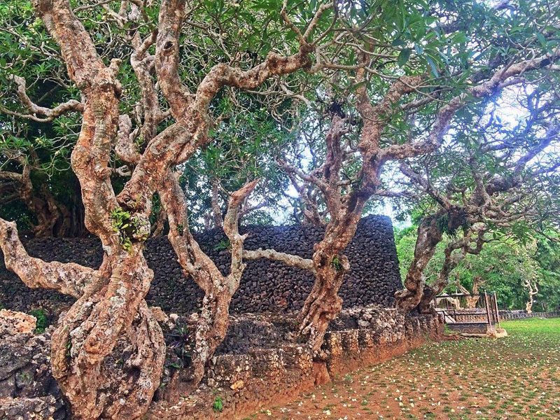 8-1-Liya-Togo-by-athysyarif