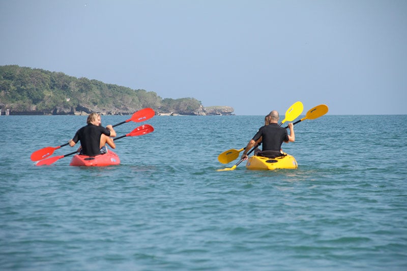 Kayak