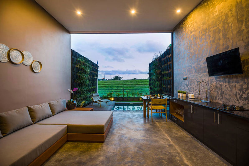 1-2-rice-field-view-from-the-room