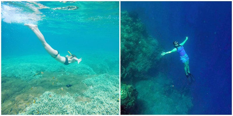 1C1-Krakatau-via-wunderbarschatzi,-simonuska27
