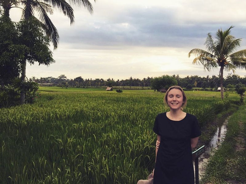 5-6-rice-fields-by-ms_bldc