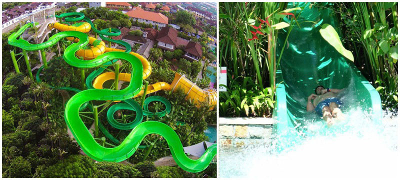 D2-a-2-1-green-viper-collage-via-waterbombali