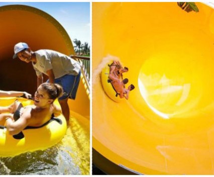 D2-a-2-2-python-group-ride-collage-via-waterbombali