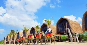 11 fun family things to do in Sanur