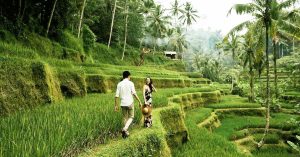 4D3N Romantic couple itinerary to Ubud (Bali) with scenic natural attractions, restaurants and unique experiences!