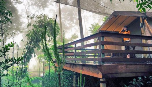 24 Instagrammable natural attractions around Bogor that will change your mind about the city