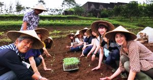 9 Local ecovillages that are making Bali a better place with ecotourism