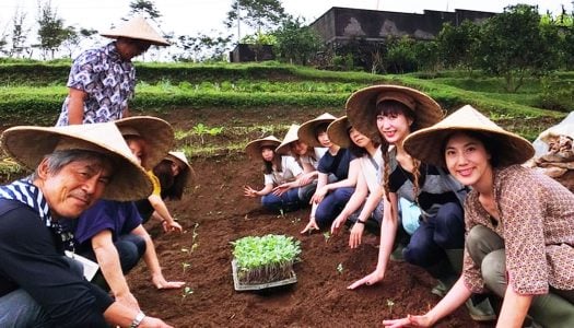 9 Local ecovillages that are making Bali a better place with ecotourism