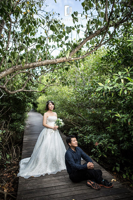 mangrove-forest-gpbaliphotography-3